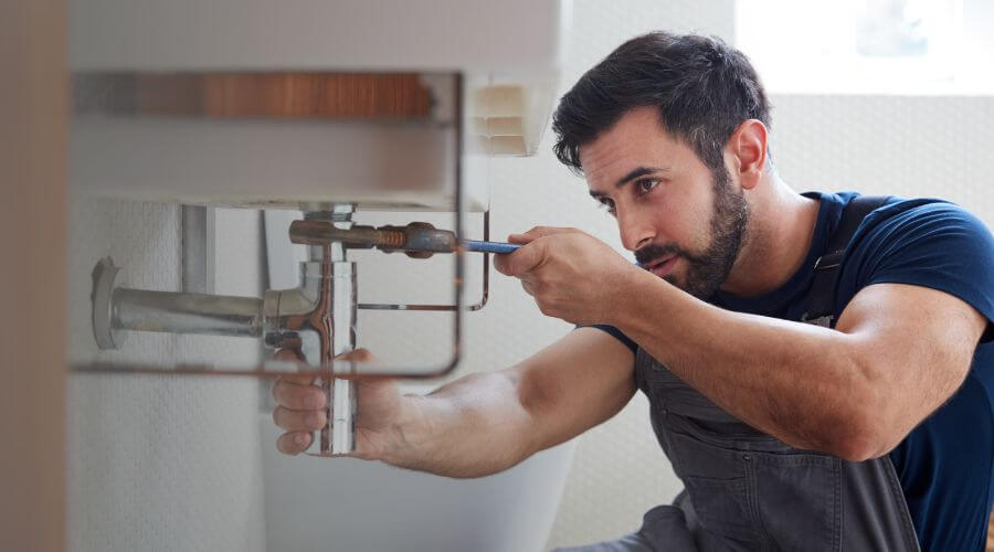 Professional clogged toilet repair in Luning, NV